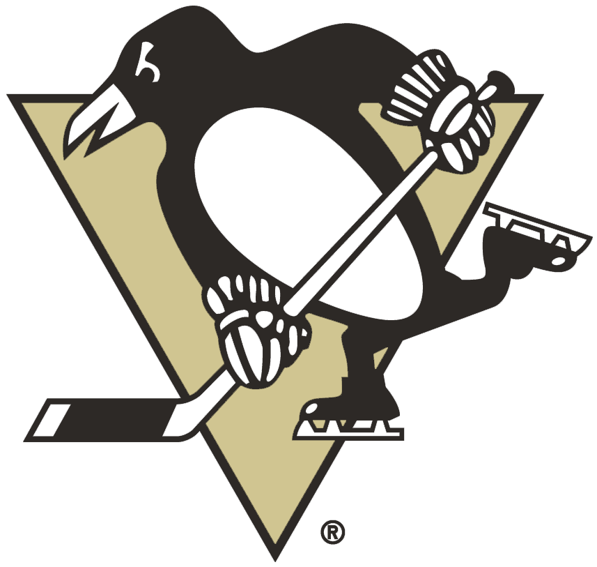 Pittsburgh Penguins 2002-2016 Primary Logo iron on heat transfer...